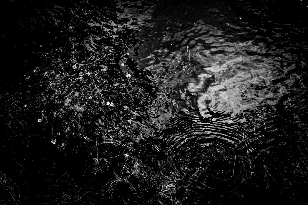 almightygenera1's tweet image. 