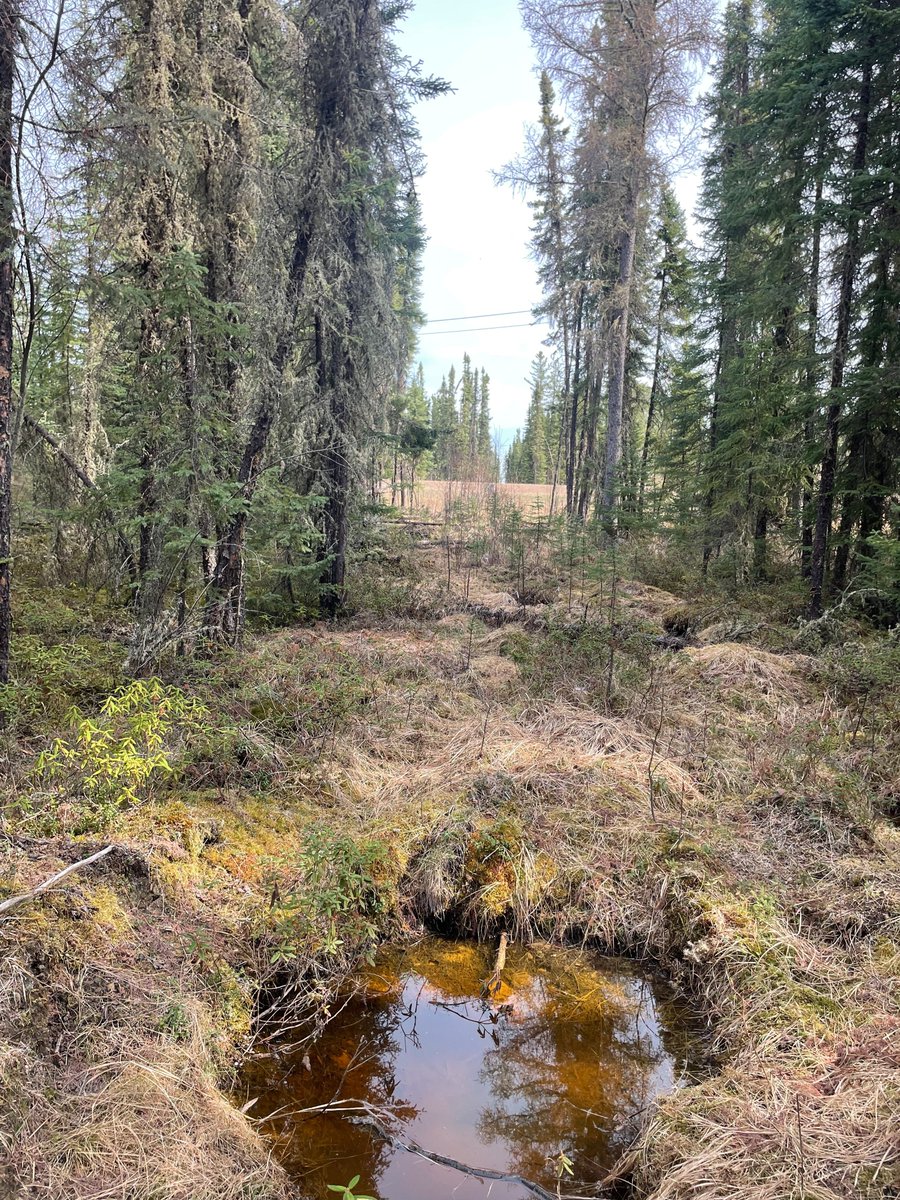 AppliedGRG tweet media