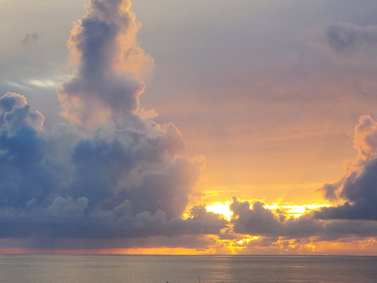 おはよーございます🎵 本日の八丈島は曇り☁️ 完全に夏の曇☁️☁️ 今日から８月ですね😵💦 今月も安全第一で！ 水分補給しっかり 楽しんで行きましょう😆