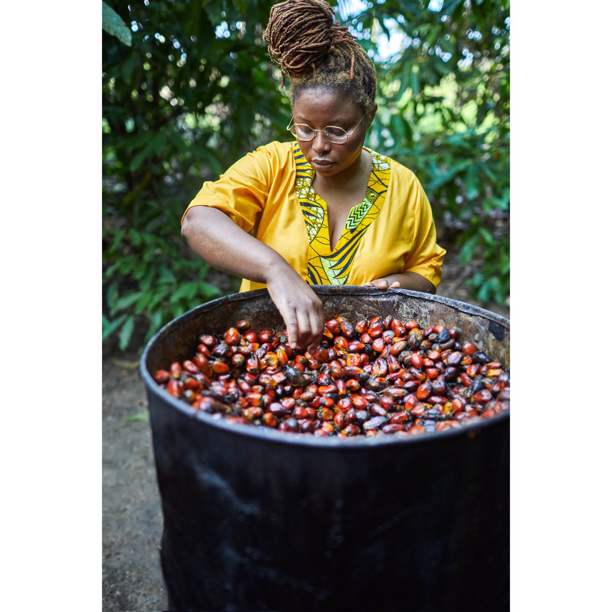 ShwenShwenbyM's tweet photo. Agifa's farm
Dambala, Bo District, Southern Province Sierra Leone.
A batch of boiled red palm kernels ready for palm oil production.
Photo by @jimmylazergram (aka white boy snap snap)
Sweet Salone published by @quadrillebooks
See links in my bio
#sweetsalone #redpalmoil https://t.co/XikuvctD9O