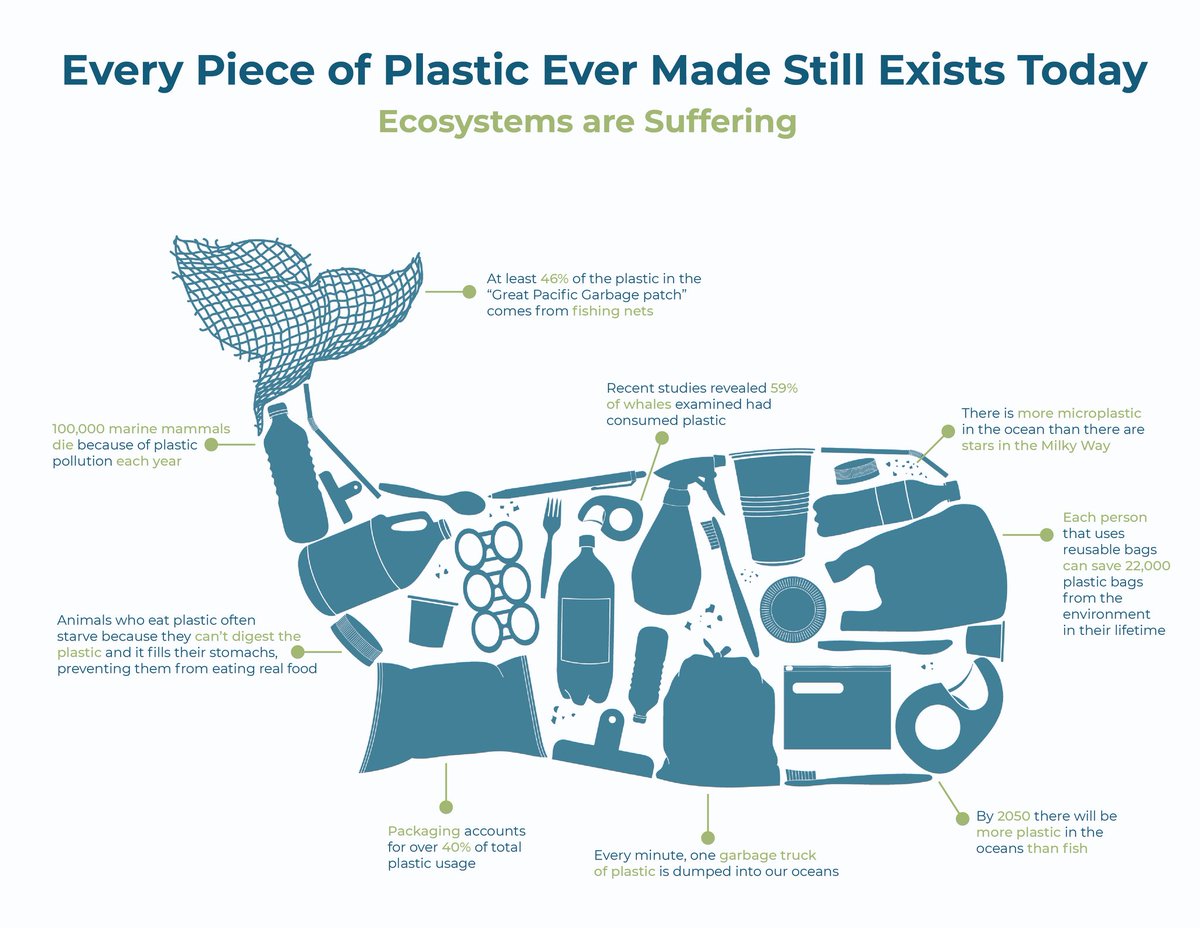 Plastic Free July ends today! How did you do? What changes will you be keeping all year to help #BeatPlasticPollution?
#WhaleTales #TalesOfSavingWhales #PlasticFreeJuly