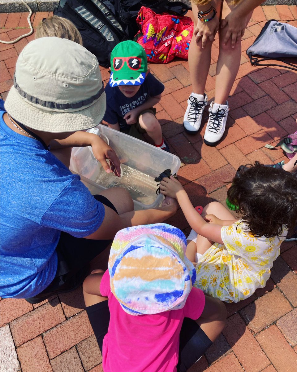 One of our favorite summer traditions is hosting Save the Harbor Save the Bay and e Inc’s summer camp programs at Atlantic Wharf! Through these programs youth from all over the state are able to visit and learn about our beautiful waterfront! ☀️🌊🐳🌊