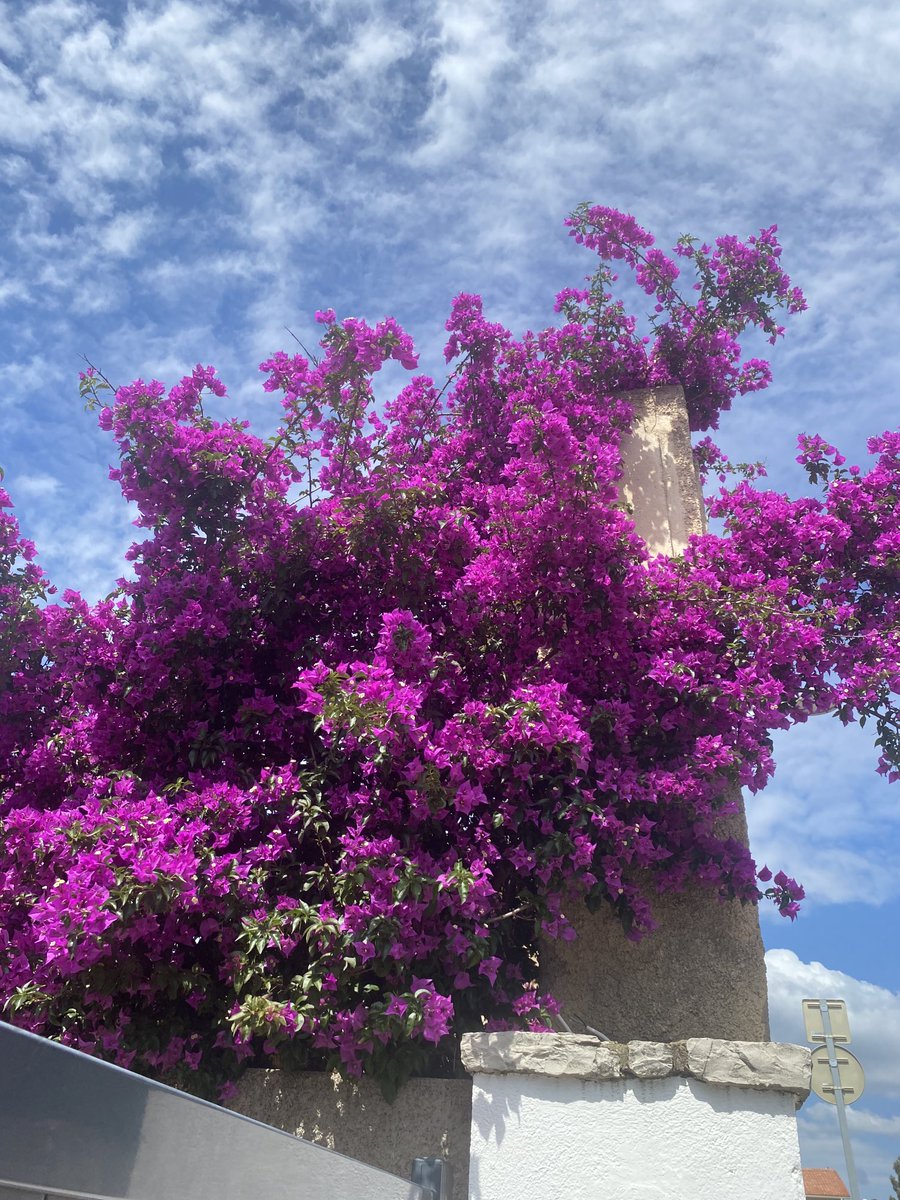 Nat (@19_natha) on Twitter photo 