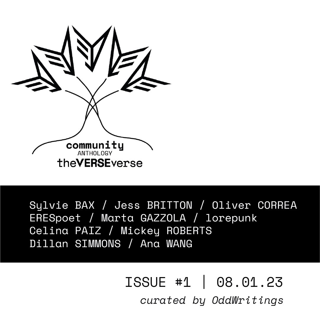 the first COMMUNITY ANTHOLOGY from theVERSEverse launches tomorrow.

we are so grateful + proud of these ten poets and their immensely thoughtful curator <a href="/OddWritings/">Odd Writings</a> 🖤

join us tomorrow to celebrate!
x.com/i/spaces/1yNxa…
08.01.23 • 1pm EDT 👆