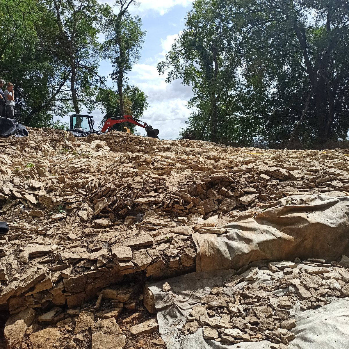 AssoMegaNeo's tweet photo. Début des fouilles sur le tumulus du Magnou situé en @charente. https://t.co/ql6posHM3M