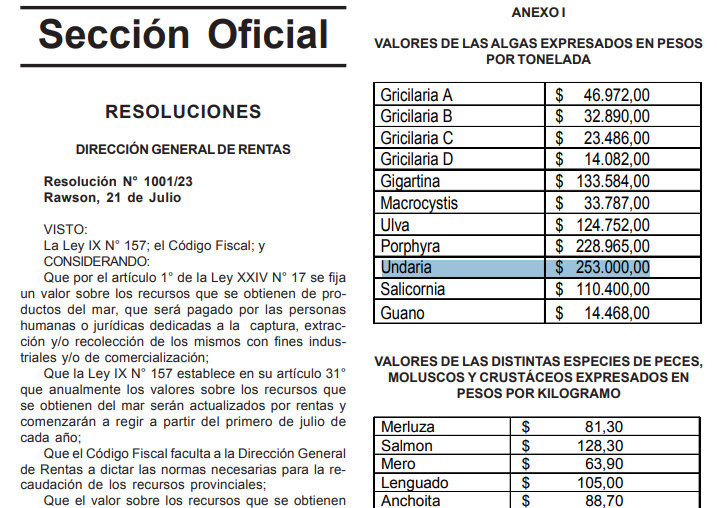 adatasur's tweet photo. #Undaria en #Chubut 🌊
De "daño ecológico" en 2006 e impedir el desarrollo de otras algas de "gran importancia comercial", a ser la más cara...
En #BO #Chubut de hoy se publican los valores de captura con fines comerciales/industriales: $253.000 la tonelada. https://t.co/ul1SOQXWpg