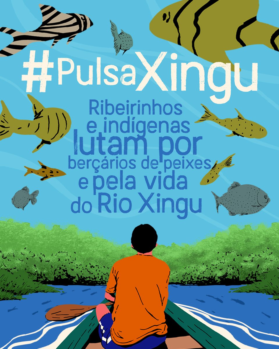 socioambiental's tweet photo. 🐟 #PulsaXingu! O caminho para reviver a Volta Grande depois da Usina Hidrelétrica de Belo Monte.

Pesquisadores Juruna e ribeirinhos da Volta Grande do Xingu estão propondo uma ação necessária para que peixes voltem a se reproduzir. Assista à animação: https://t.co/wMnHbg1KYt https://t.co/GTVLWWoU4Z