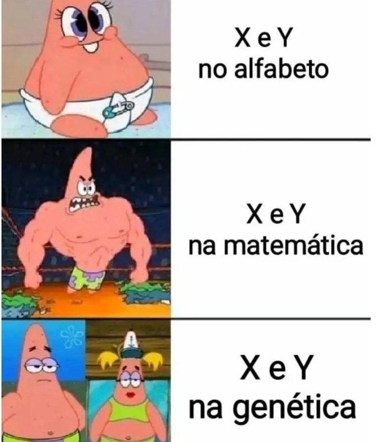 Shitpost só que de verdade tweet media