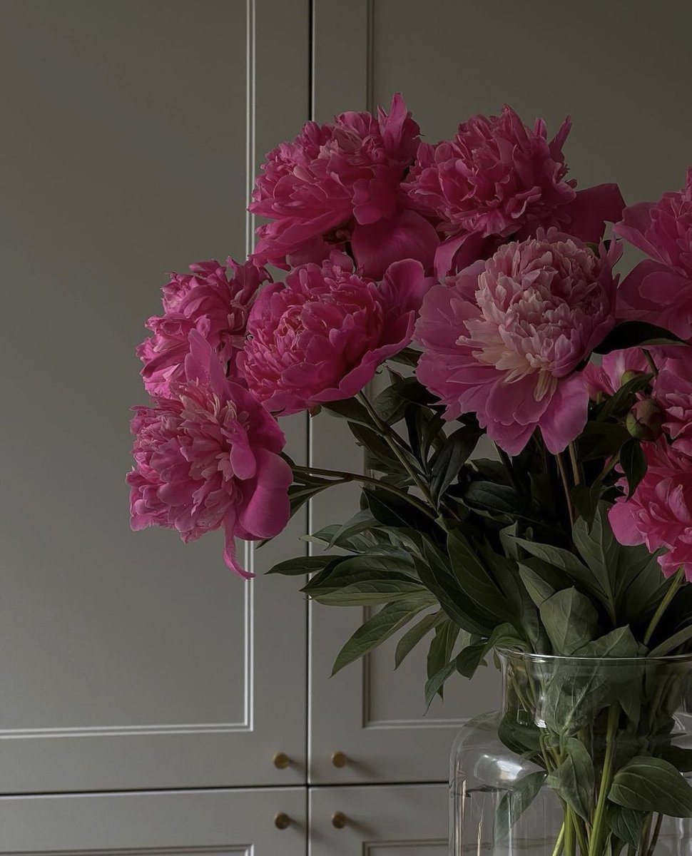 𝒫𝓊𝓇𝑒 𝐵𝑒𝒶𝓊𝓉𝓎