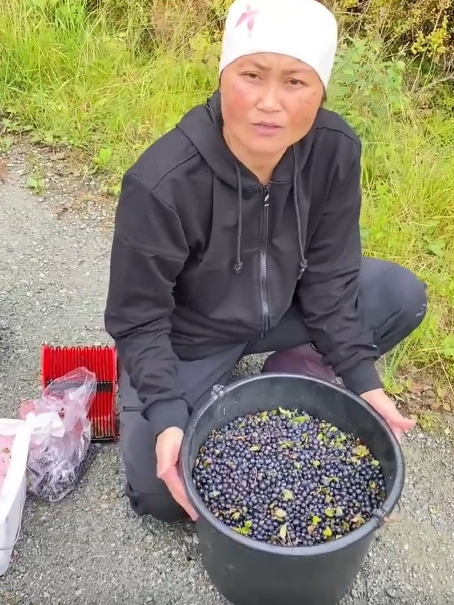 Sarah Thiravong tweet media