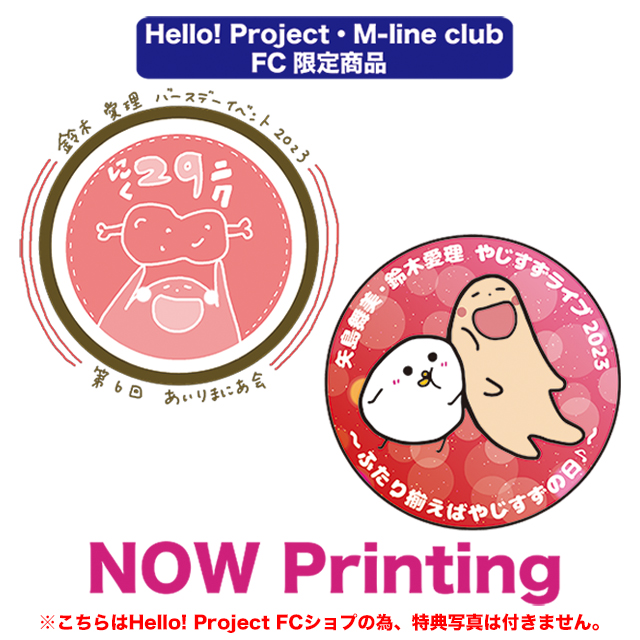 鈴木愛理 2023 バースデー＆FCイベントDVD ℃-ute矢島舞美 やじすず DVD