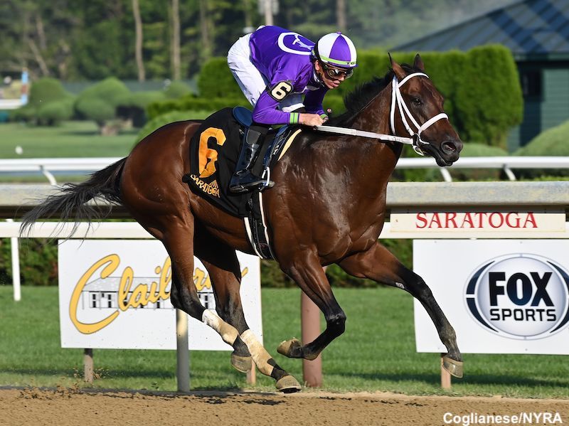 New York Thunder stays undefeated in $200,000 Amsterdam Stakes, seeking Grade 1 Victory in Jerkens Memorial.

Click here for full race recap: medium.com/@OmniHorse_NFT…