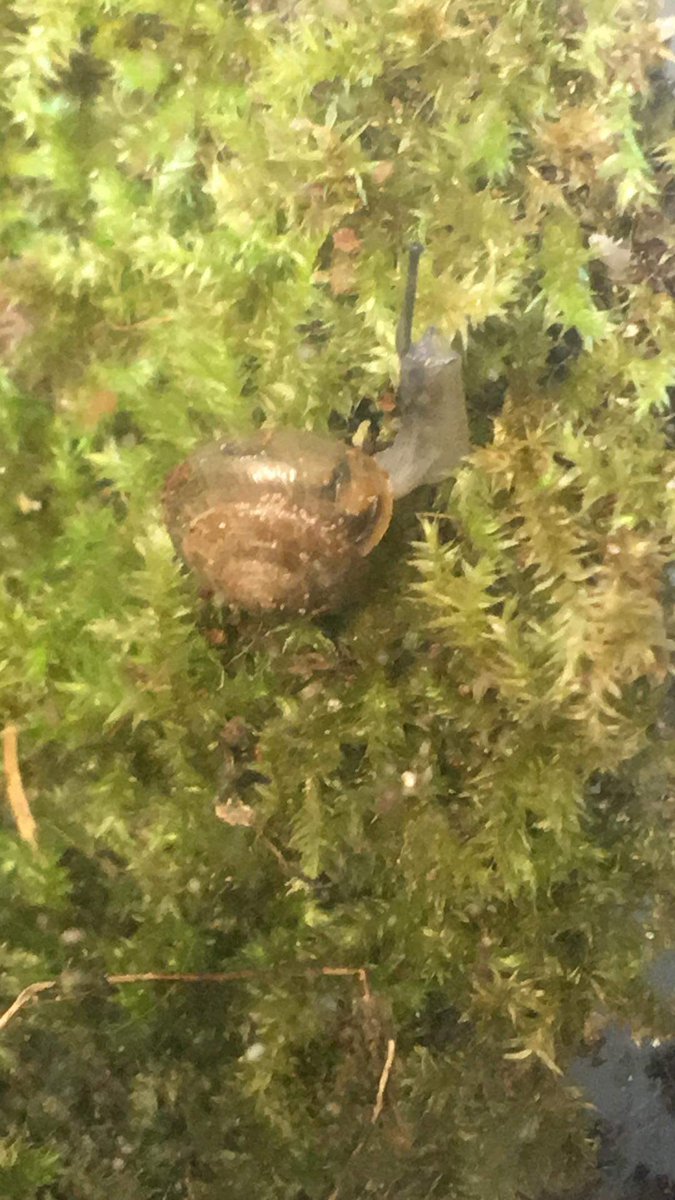 UniMehe (unimehe.bsky.social) (@munimehe) on Twitter photo 