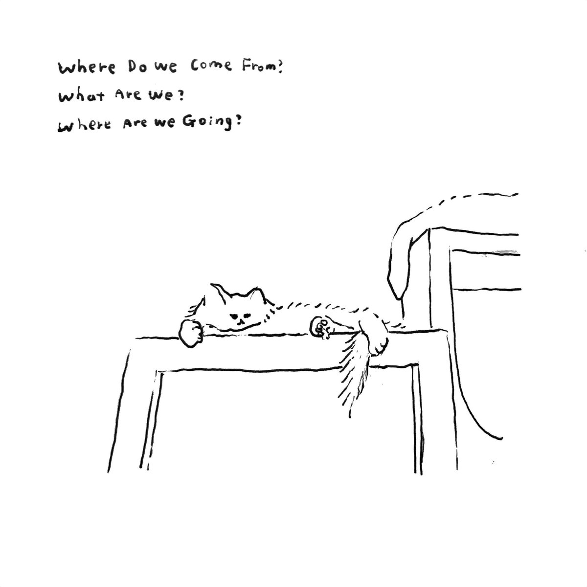 ねこ 