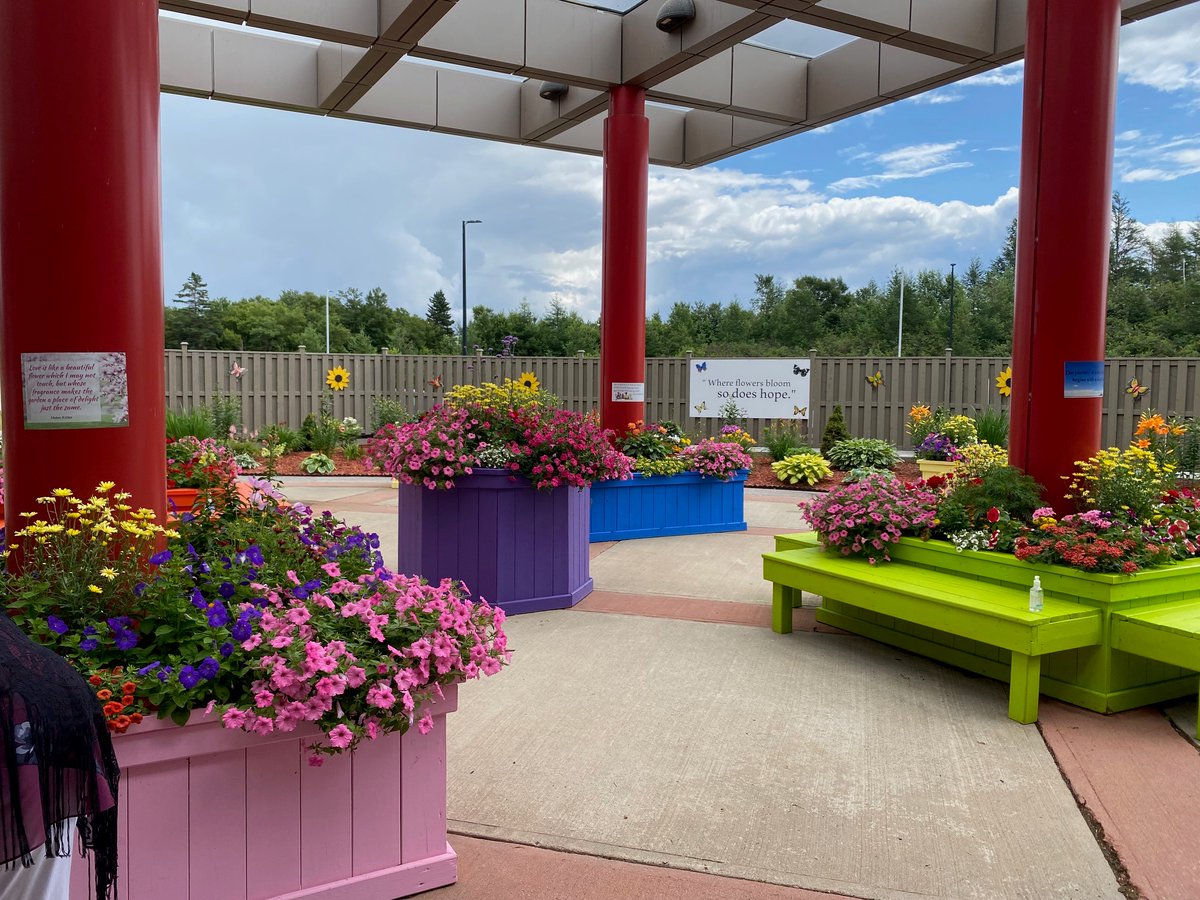 NFPower's tweet photo. A wonderful garden party was held yesterday at the Sir Thomas Roddick Hospital’s Garden of Hope for hospital staff, patients and garden supporters. Thank you to everyone who helps spread hope, and keeps the blooms looking so beautiful. #PowerOfLife #GardenOfHope @Cancercarefdn https://t.co/gf5meX6AHb