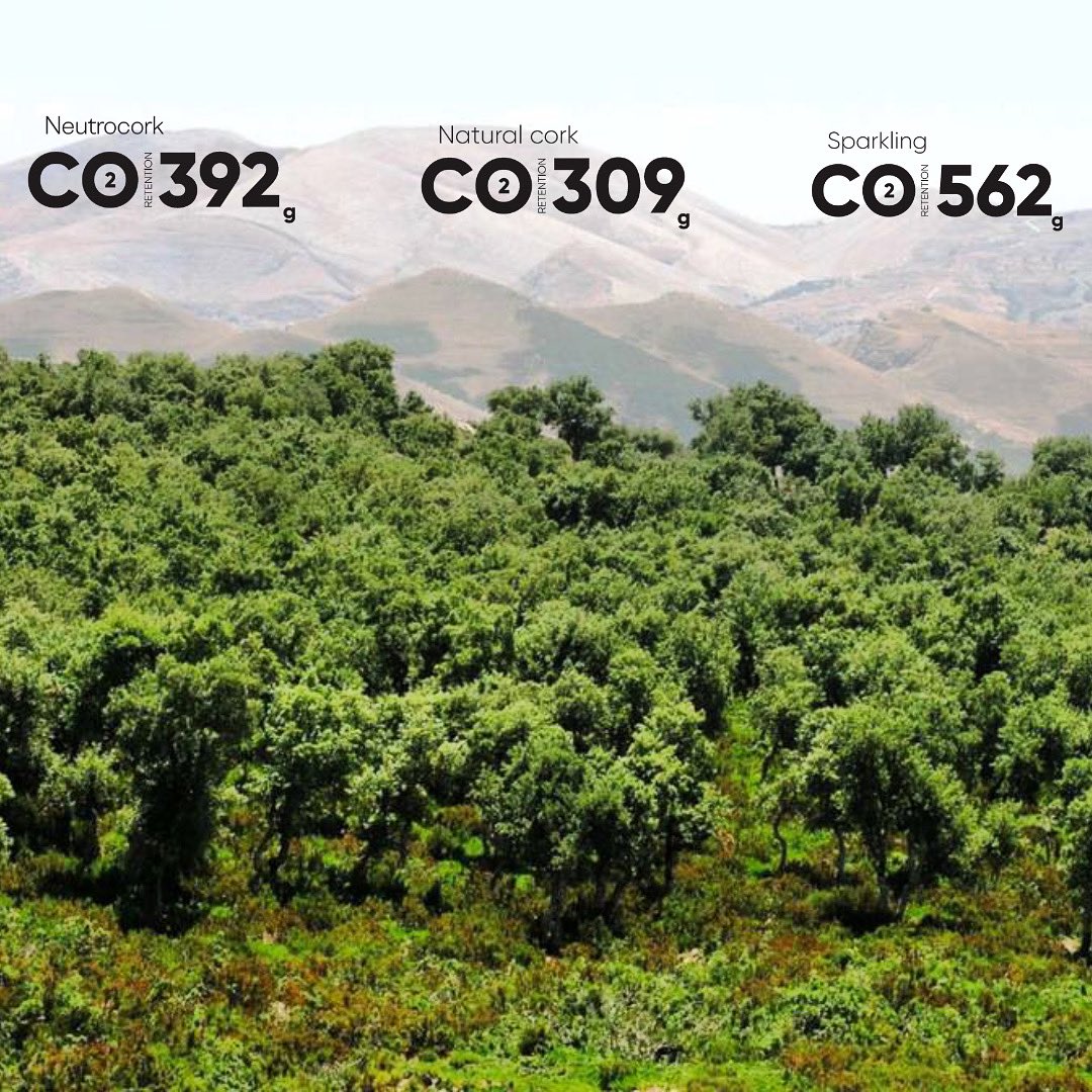 ICorchera's tweet photo. Cuando decides tapar con un corcho Amorim, decides apoyar la generación de oxígeno, proteger los Bosques y la  preservación del medio ambiente.
Con nuestros productos estás reduciendo las emisiones de tu packging y sin dudas estas tomando la mejor decisión para proteger tu vino. https://t.co/fRA1zqe6K3
