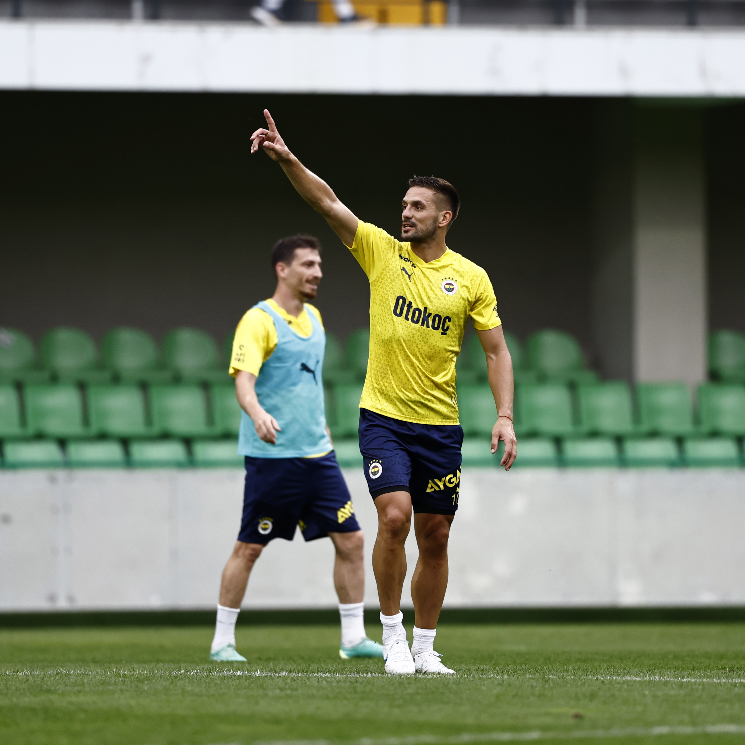 tadic