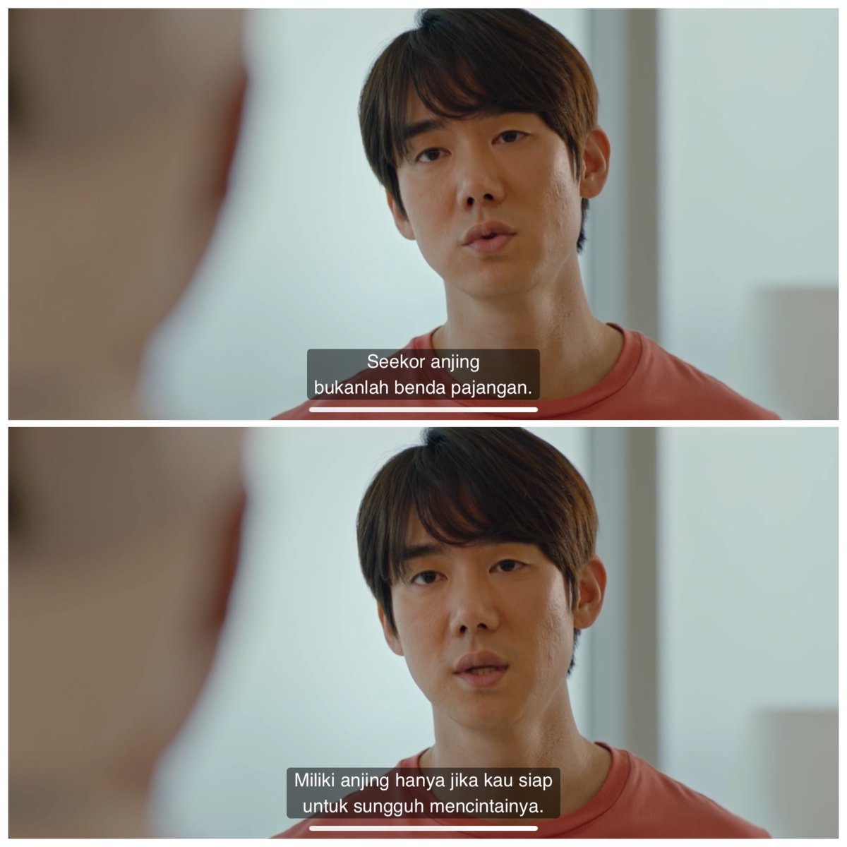 Yang punya anabul pasti paham maksudnya 🥹