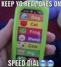 media from the camera roll of a closeted gay man tweet media