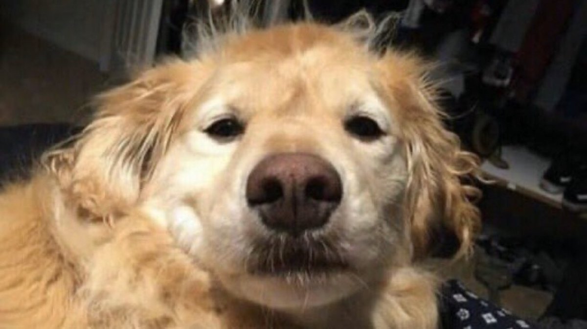 “I’m gonna take a quick nap”

*8 hours later

Me confused af: