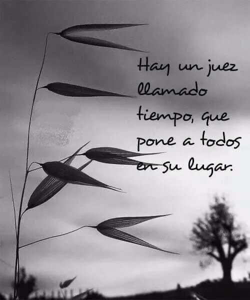 Miriam_Alejan's tweet photo. Así es 👍 https://t.co/mBibBs7jqw