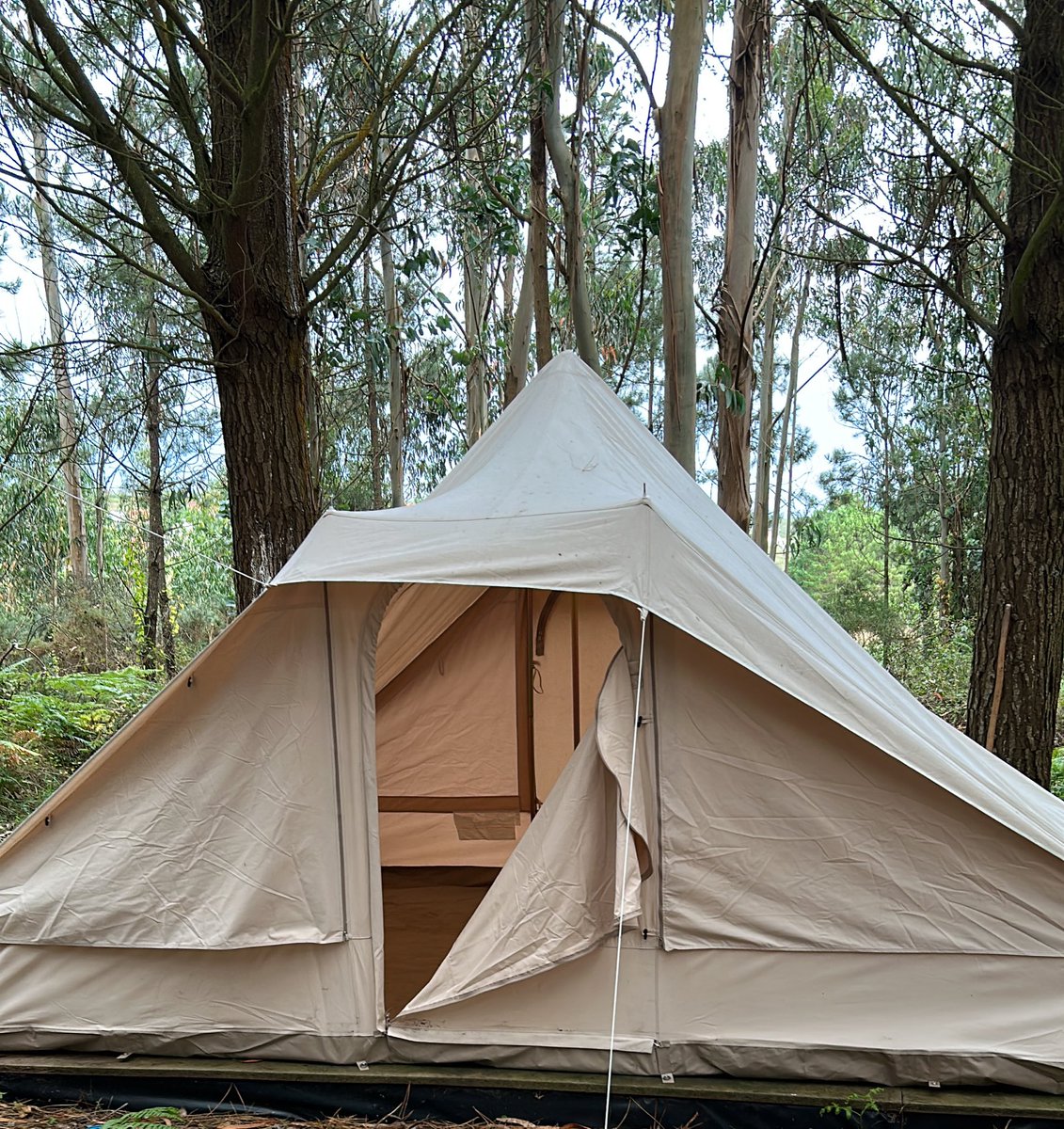 Boas, somos Adri e Mar, e imos facer este fío para presentarvos o noso campamento para adultos, agradecemos moitisimo calquer tipo de difusión. Temos unha oferta moi chula este agosto e setembro, así que si tedes algún finde libre non o pensedes