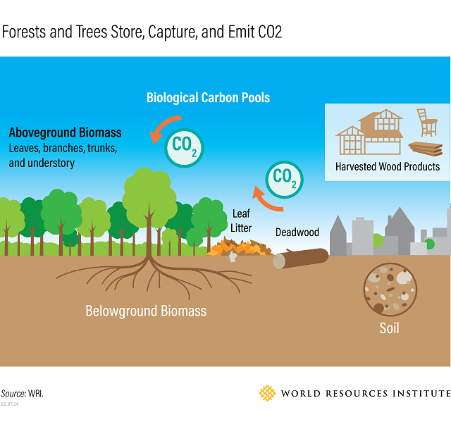 WRI Ross Center for Sustainable Cities tweet media