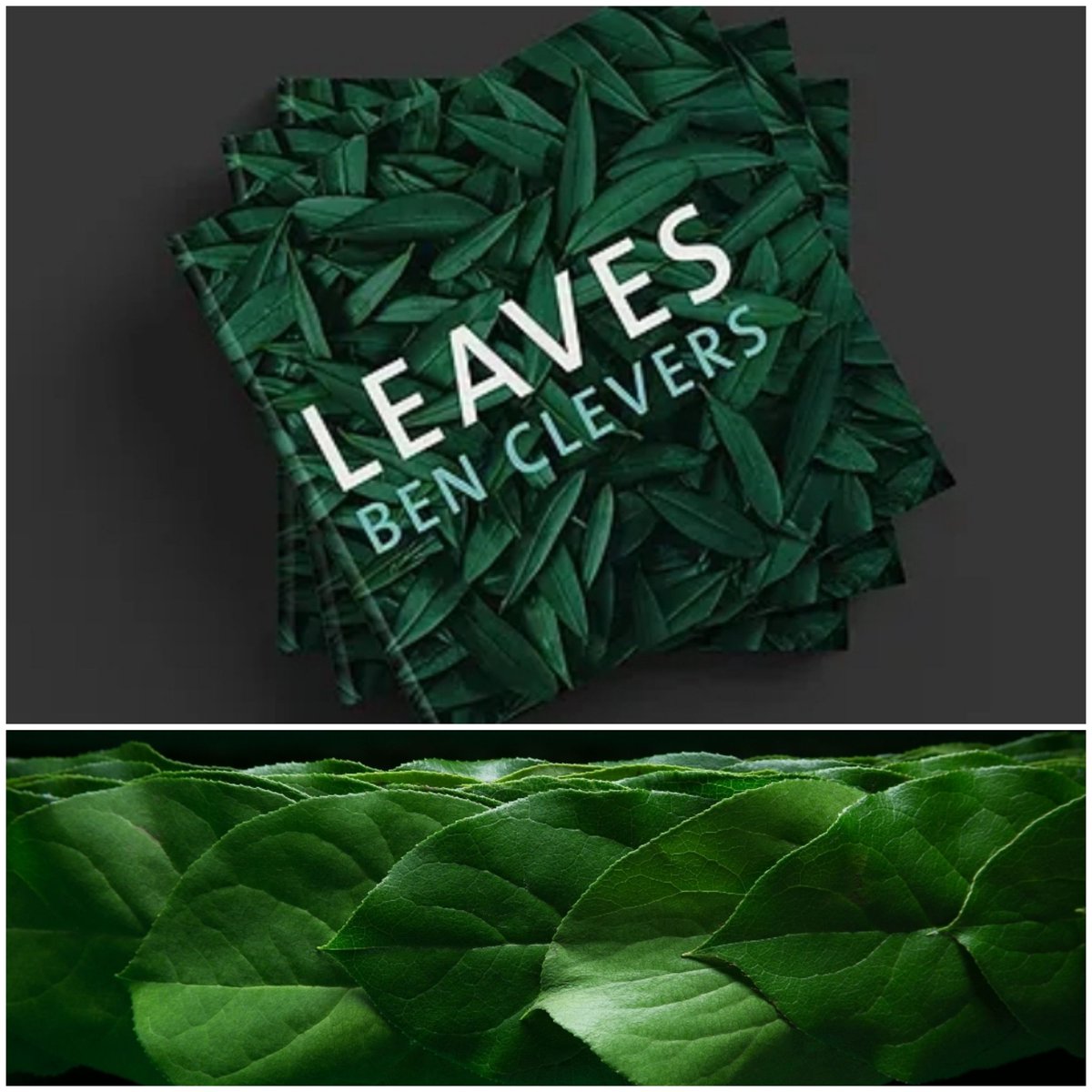 Floralleaves tweet picture