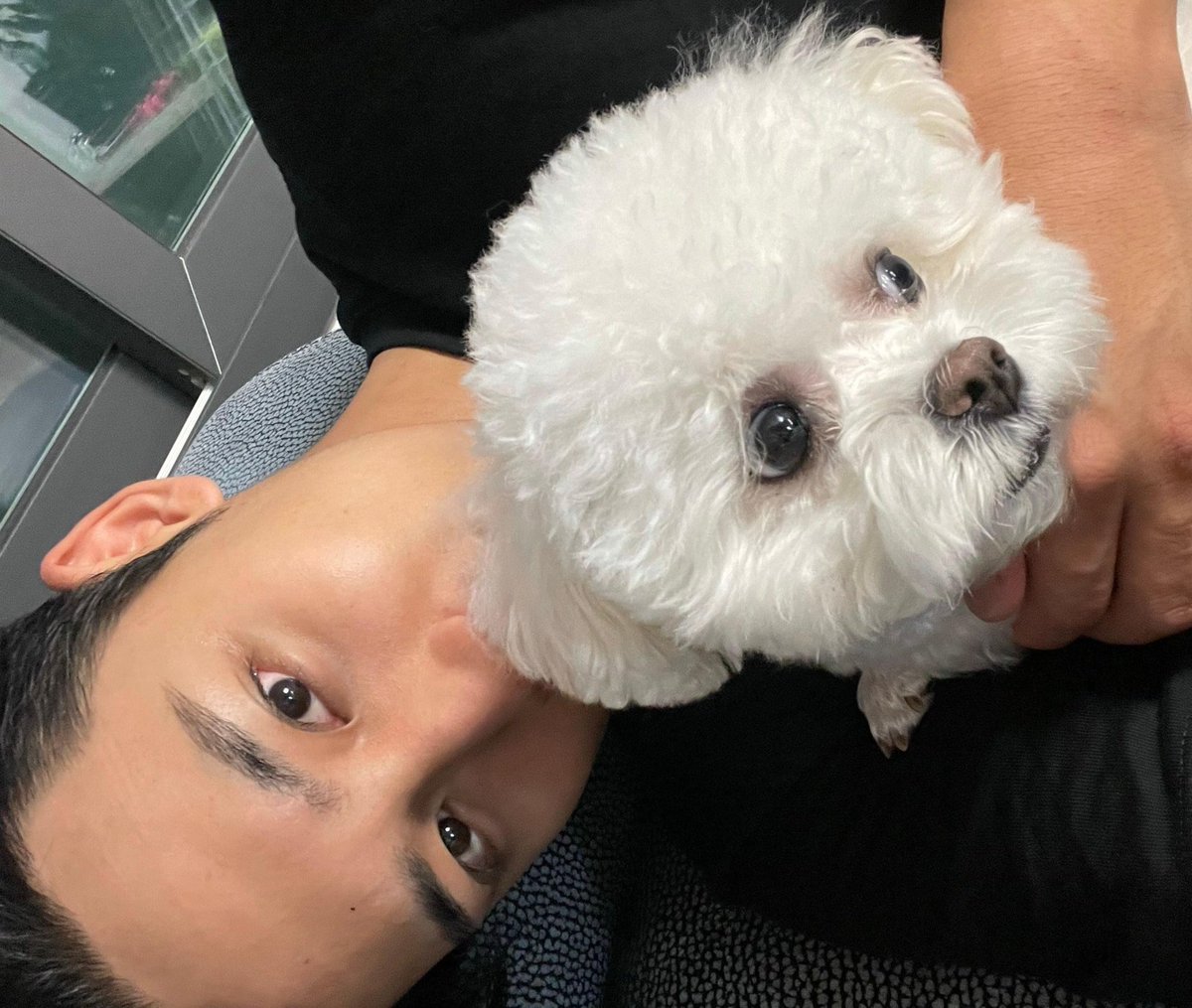 minegyu_'s tweet photo. badly need a new mingyu bobpul photo https://t.co/BguVYicMUj