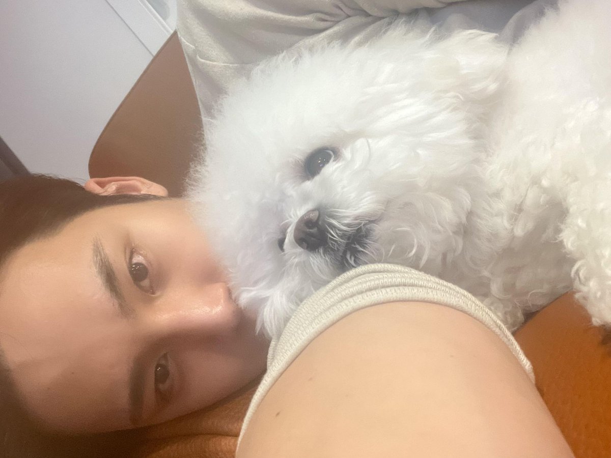 minegyu_'s tweet photo. badly need a new mingyu bobpul photo https://t.co/BguVYicMUj