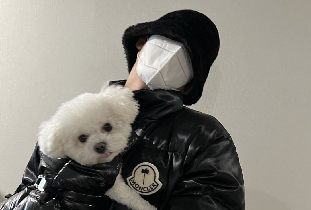 minegyu_'s tweet photo. badly need a new mingyu bobpul photo https://t.co/BguVYicMUj