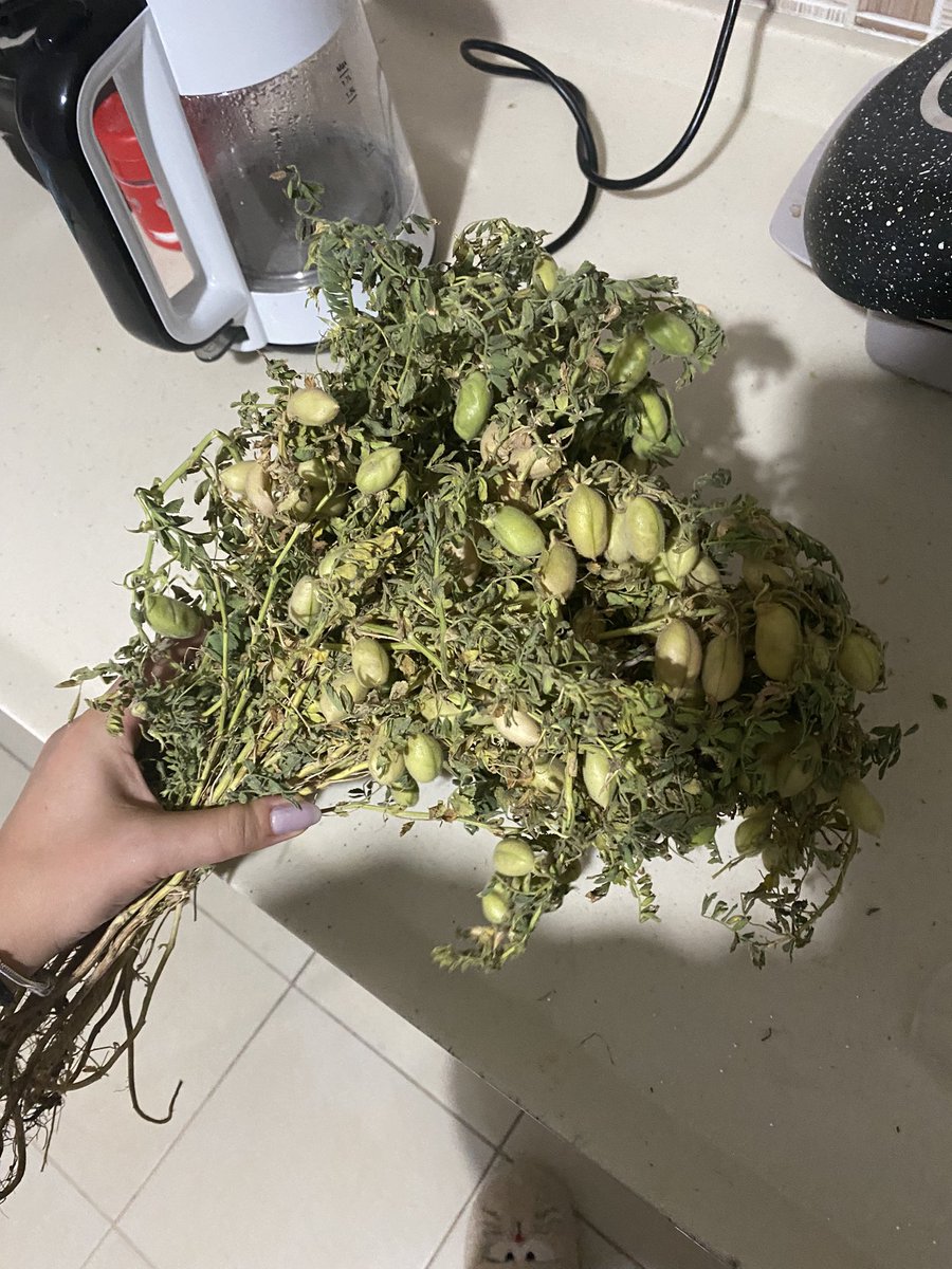 Attığı mesaj… Çiçek anlayışı.. ev arkadaşım bana küçük sürprizler yapıyor