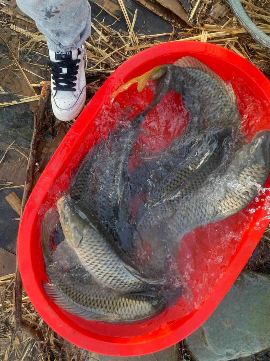 tania_csl0068's tweet photo. I feel like she's the most beautiful angler ever. Do you guys like it? I'll get you contact info.π€£π€£
#angling #SeaFishing #BoatFishing #Grouper
#SeaFishing #Boatfishing #angling #outdoors #CaliforniaGirls #Yachts #Lujah #DailyFragments #Lifestyle #SummerEvents #Angler #Los https://t.co/HkXfiHSoUD