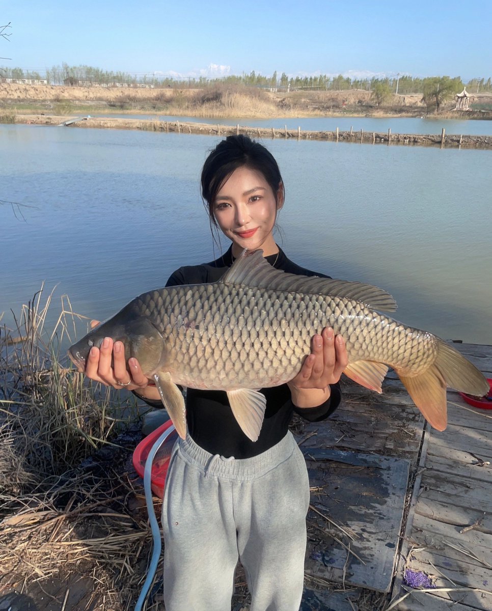 tania_csl0068's tweet photo. I feel like she's the most beautiful angler ever. Do you guys like it? I'll get you contact info.π€£π€£
#angling #SeaFishing #BoatFishing #Grouper
#SeaFishing #Boatfishing #angling #outdoors #CaliforniaGirls #Yachts #Lujah #DailyFragments #Lifestyle #SummerEvents #Angler #Los https://t.co/HkXfiHSoUD