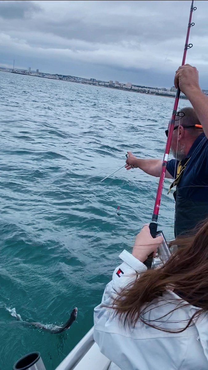 VeraaaYang's tweet image. So what if I can't catch a fish, I'm not fishing, I just want to sit on the water's edge
Life is short, don't delay fishing because of business 🎣.
What you throw out is trouble, what you take back is happiness.
#Seafishing
#Hooks
#Fishinggear
#Fishfarming
#Seaside
#Fishing