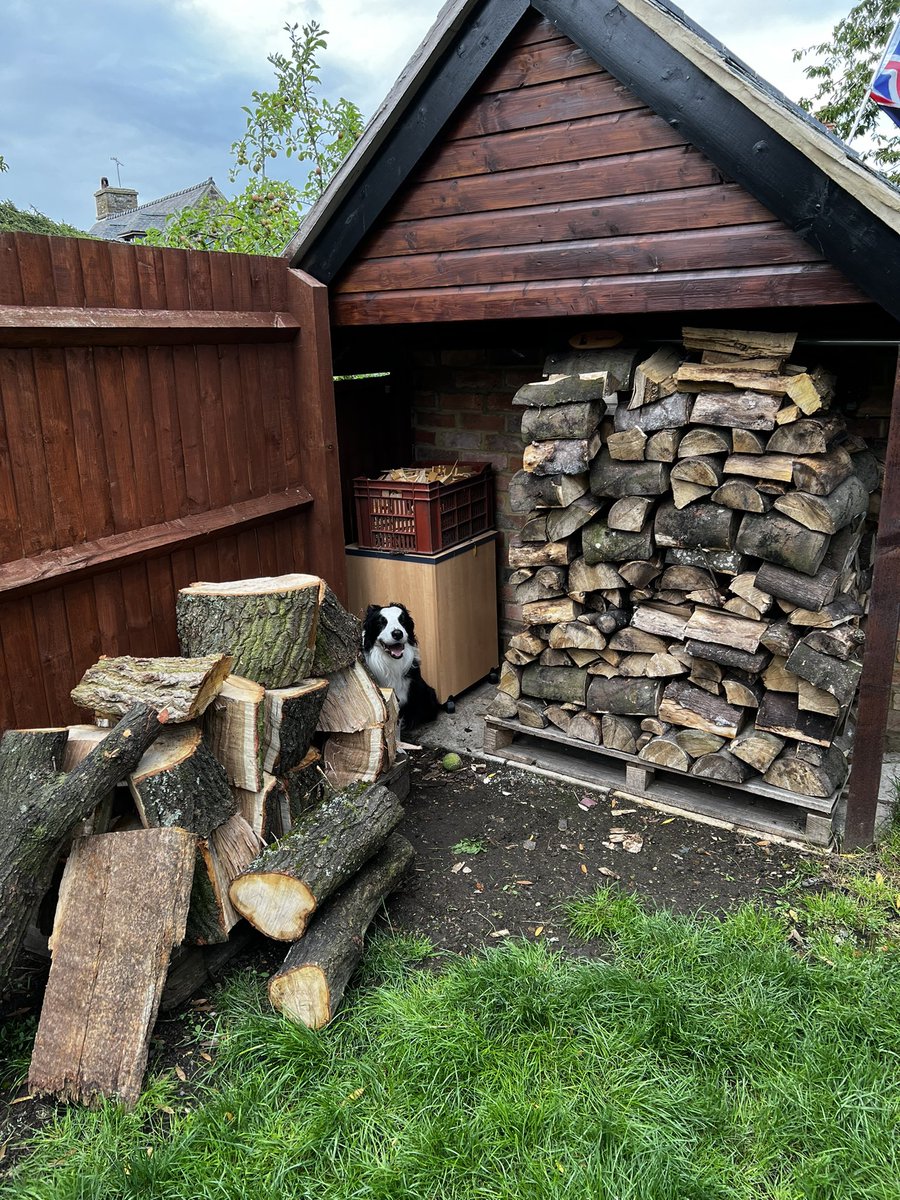 Oak going for free? Count me in. 
Hasn’t taken long for me to start making the back garden look like a wood yard. Several more loads of Oak to come this week! 
That should keep the house warm for a few days. 

#logburner #wood #fuel #logs #Sustainability