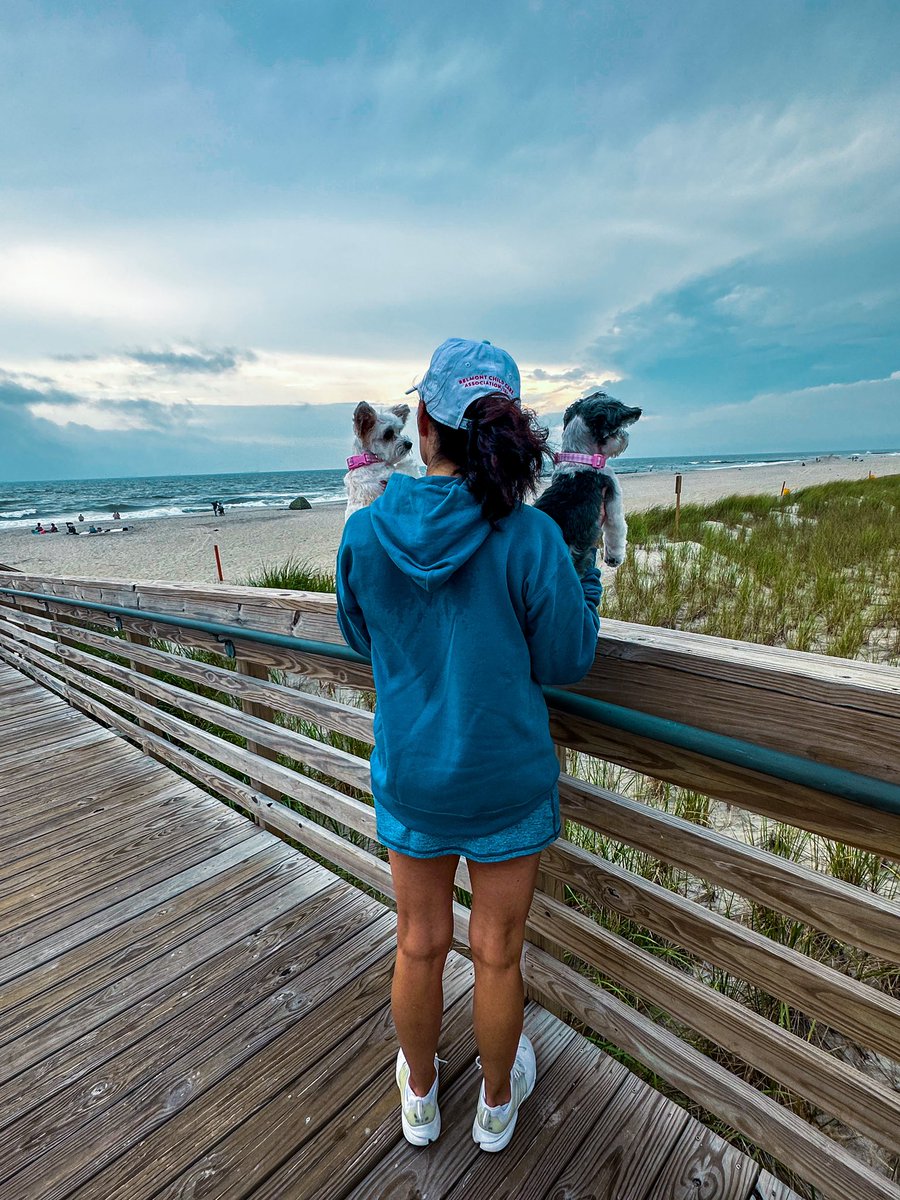 samcarrell's tweet photo. Thankful everyday ❤️🙏🏻
@TINKERBELLEadog #gossippups
#beach #beachpups #travelpup #dogadventures #dogmodel #dogactor #dogsofinstagram #influencer #pupfluencer https://t.co/rb1Kioa12i