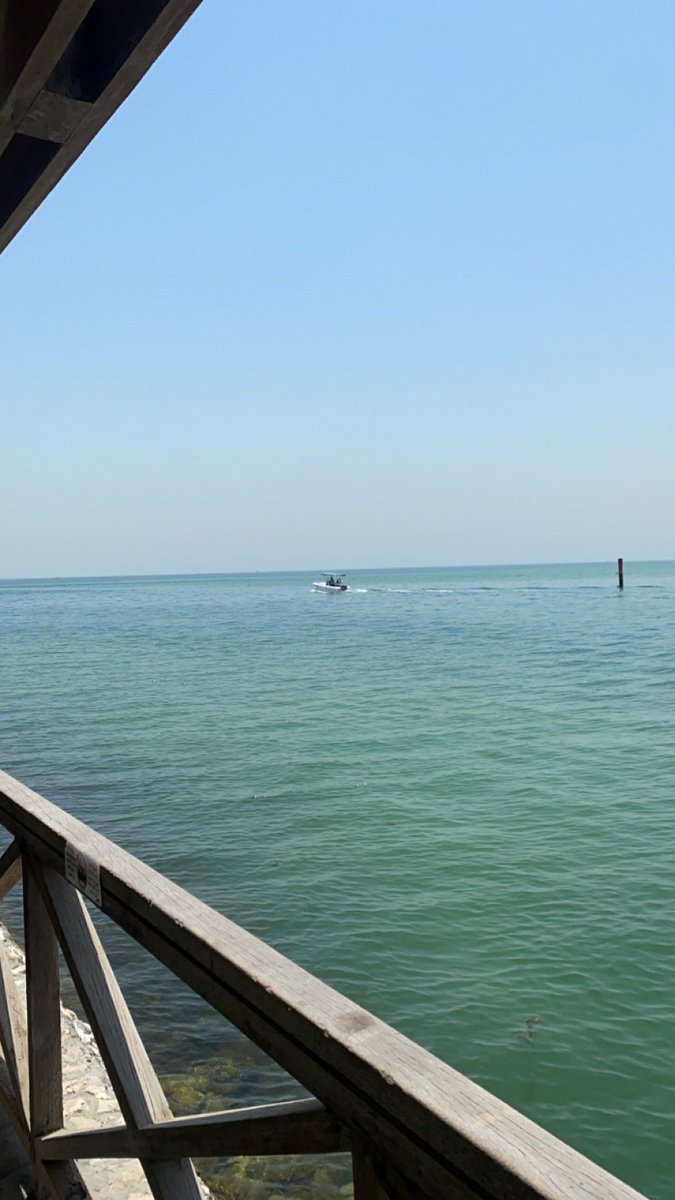 _IBU2's tweet image. 