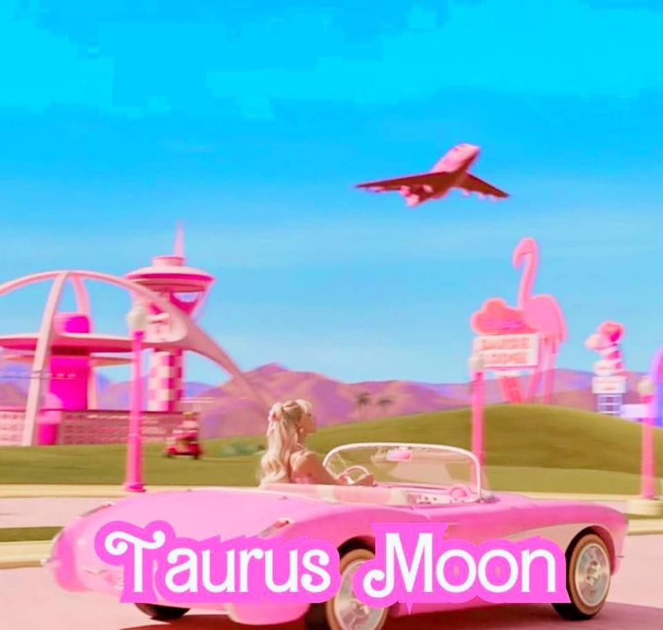 🕶 Riri: CEO of Clement Mansell tweet media