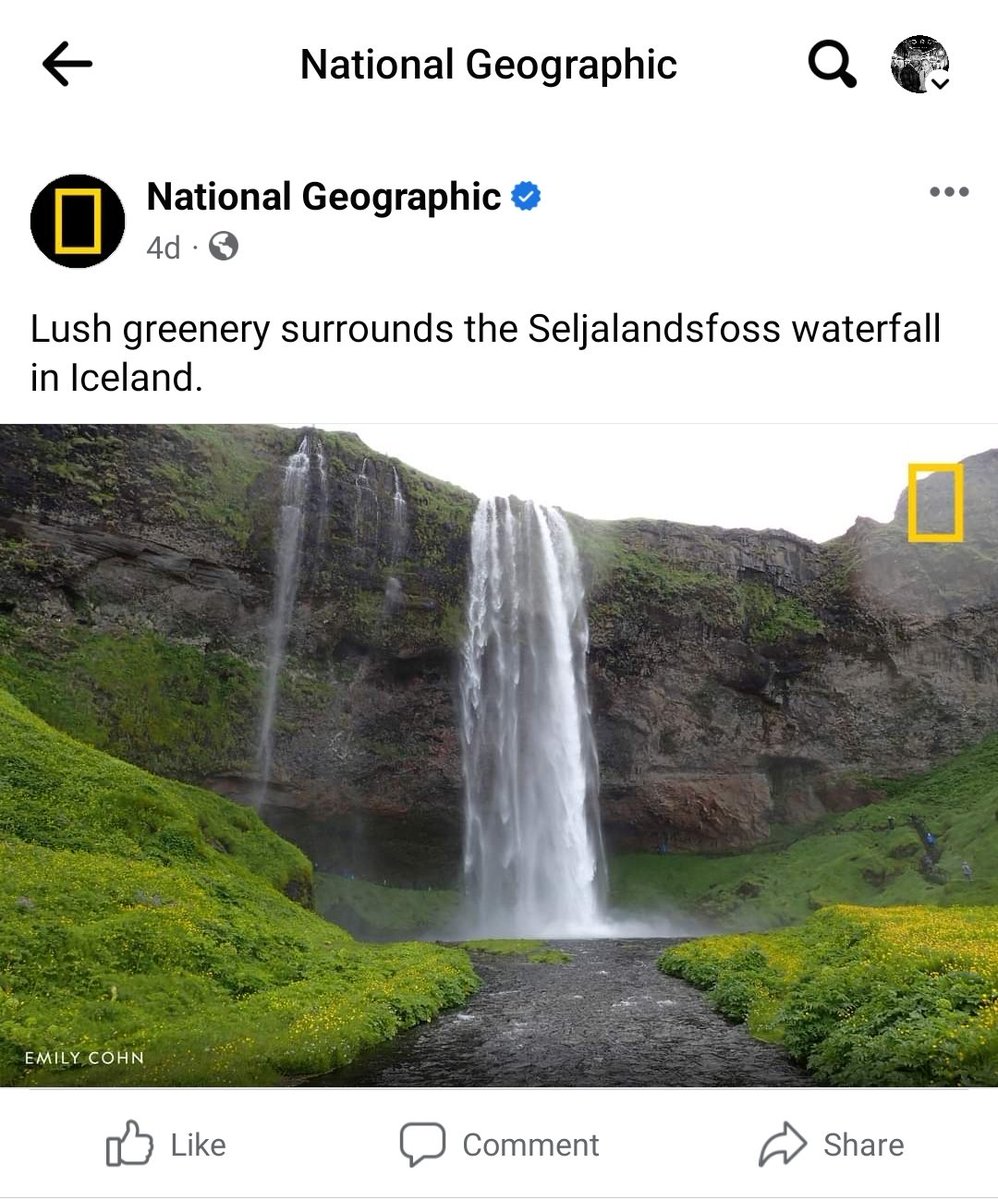 Golli - Kjartan Þorbjörnsson tweet media