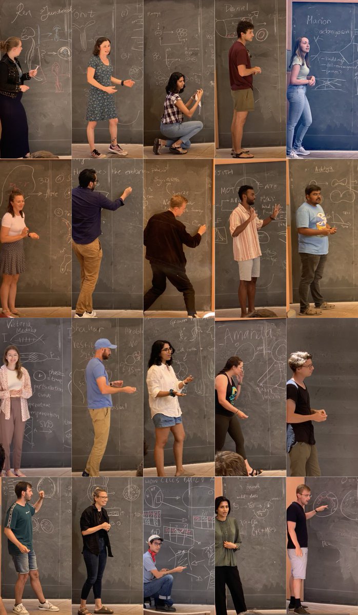 Xavier Trepat (@xaviertrepat) on Twitter photo Day8 at #kitpqbio. Meet out fearless and multitalented students. Projects are assigned. 4 weeks to go! <a href="/KITP_UCSB/">Kavli Institute for Theoretical Physics</a> Day8 at #kitpqbio. Meet out fearless and multitalented students. Projects are assigned. 4 weeks to go! <a href="/KITP_UCSB/">Kavli Institute for Theoretical Physics</a>