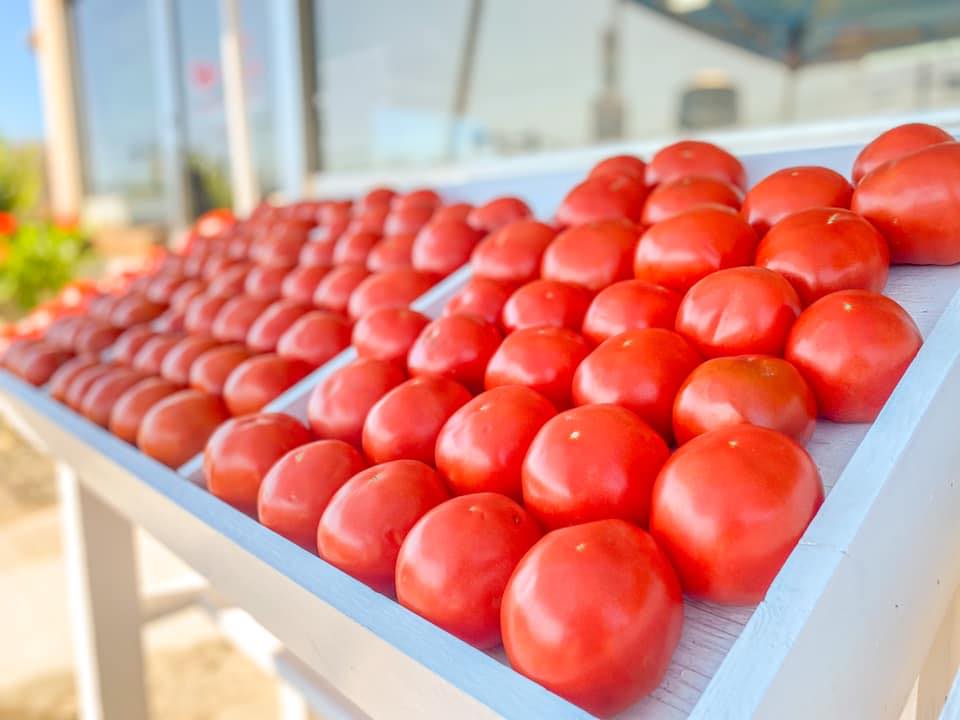 CantonTourism's tweet photo. Originally known for their sweet Smith County watermelons, Kylie Melons has been serving it’s customers for almost a decade with the best produce, plants and specialty products! Located in Canton, MS at the intersection of HWY 16 and HWY 43! https://t.co/wITXrpggEQ