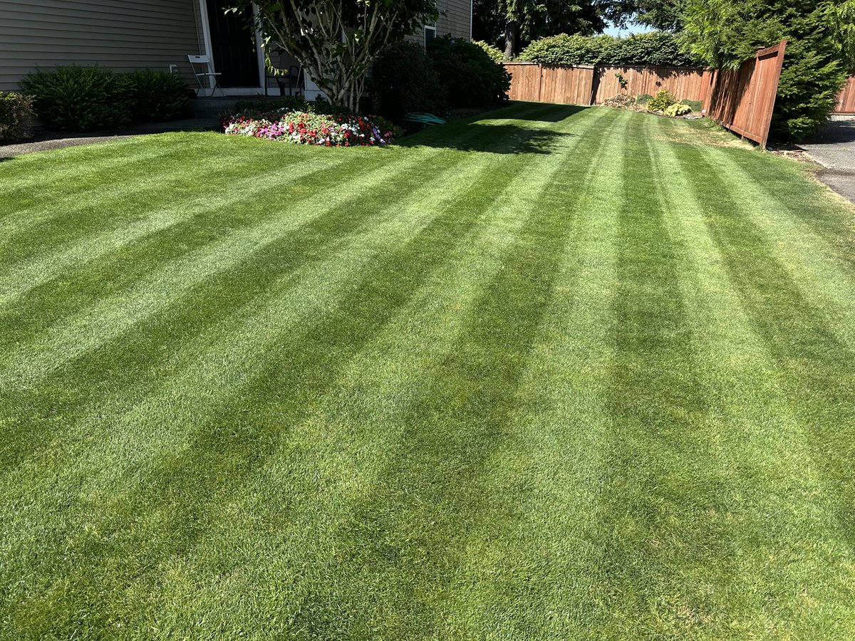 These stripes are fire man! #reelmow