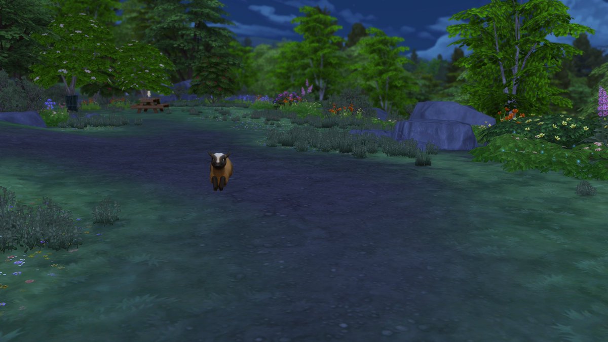 AlilSmol's tweet image. ok I'm obsessed &amp;lt;3

#horseranch #sims4 #minigoat