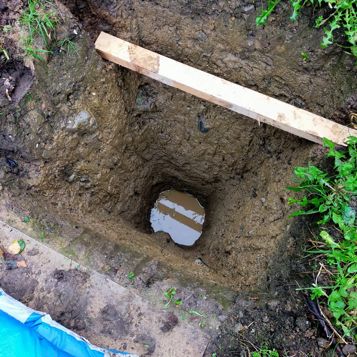 Pablo Rodríguez-Salgado tweet media