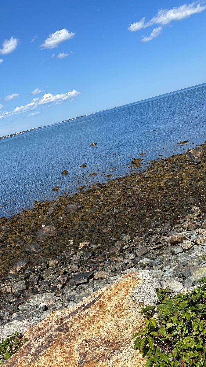 horrified tweet media