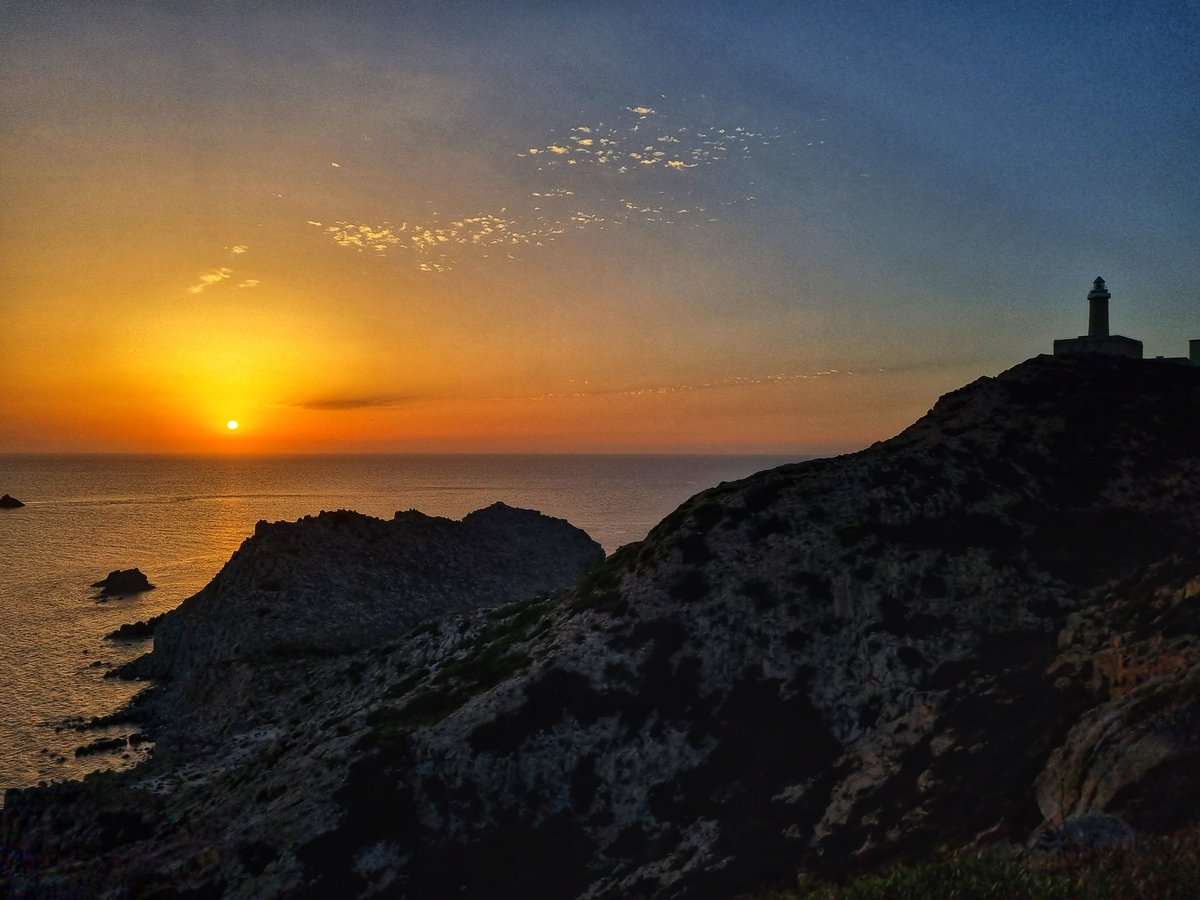 Lorenzo Pregliasco tweet media