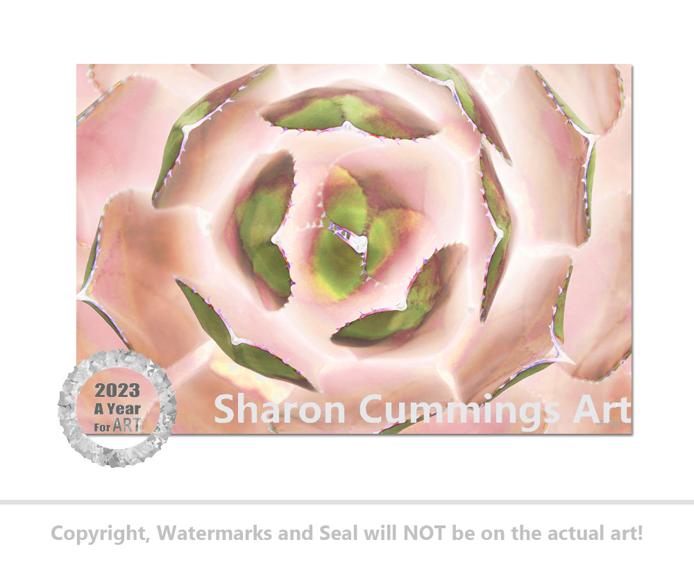 Terracegallery's tweet image. Blush Succulent 1 HERE:  fineartamerica.com/featured/blush… #blush #blushpink #pink #colorful #succulent #succulents #floral #botanical #art #artwork #garden #gardening #AYearForArt #BuyIntoArt #gardening