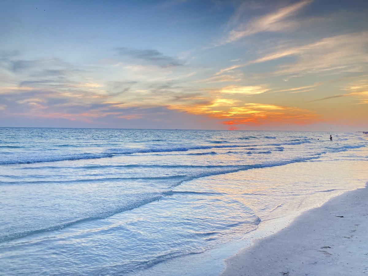 Island Unique tweet media