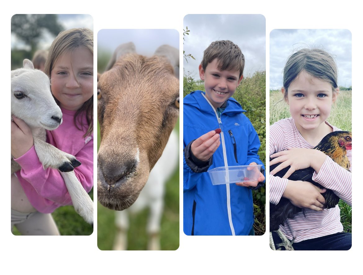 Wilde Farm (@wilde_farm) on Twitter photo ADDITIONAL STAFF REQUIRED
Due to increased numbers, we are looking for extra staff with teaching or childcare qualifications for our award winning Wilde Farm Summer Holiday Club. Must love the great outdoors, and DBS clearance.
Email CV to wildefarmponteland@gmail.com ADDITIONAL STAFF REQUIRED
Due to increased numbers, we are looking for extra staff with teaching or childcare qualifications for our award winning Wilde Farm Summer Holiday Club. Must love the great outdoors, and DBS clearance.
Email CV to wildefarmponteland@gmail.com